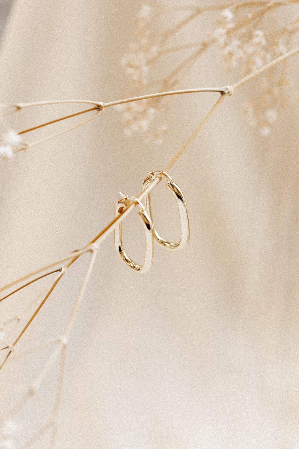 Earrings - Gold