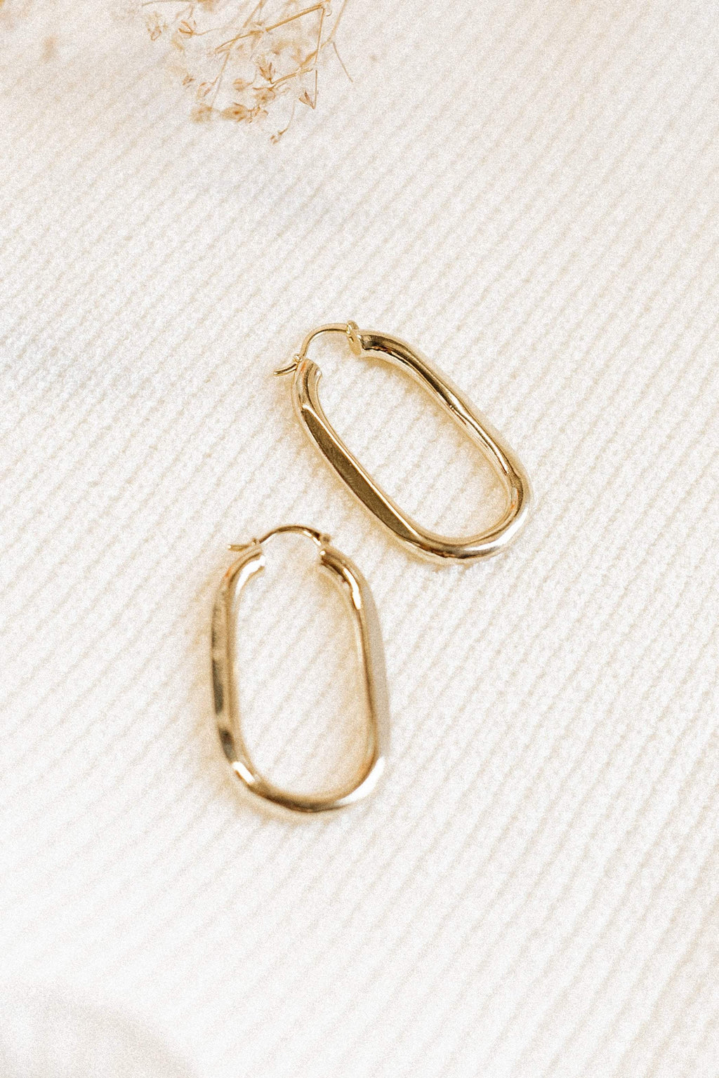 Earrings - Gold